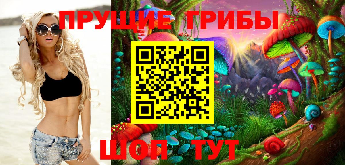 Мценск  Псилоцибиновые грибы ЛСД  Вход с VPN 
