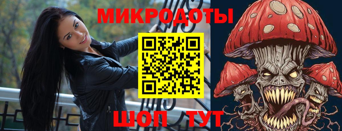 Псилоцибиновые грибы Psilocybe Мценск